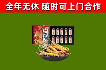 云浮市回收冬虫夏草价格
